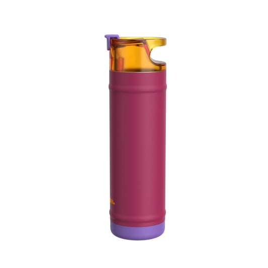 bubba 24 oz DualSip Insulated Stainless Steel Water Bottle - Locker Love - US 9796